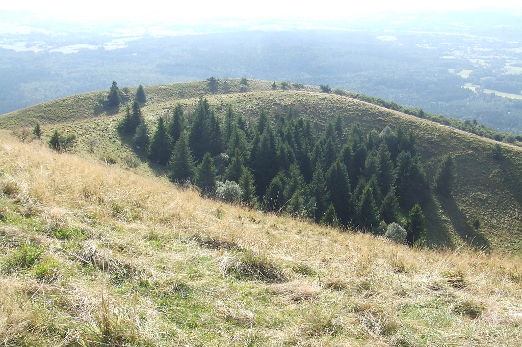 Puy de Côme